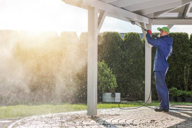 Best Sidewalk and Walkway Cleaning  in Burnham, PA